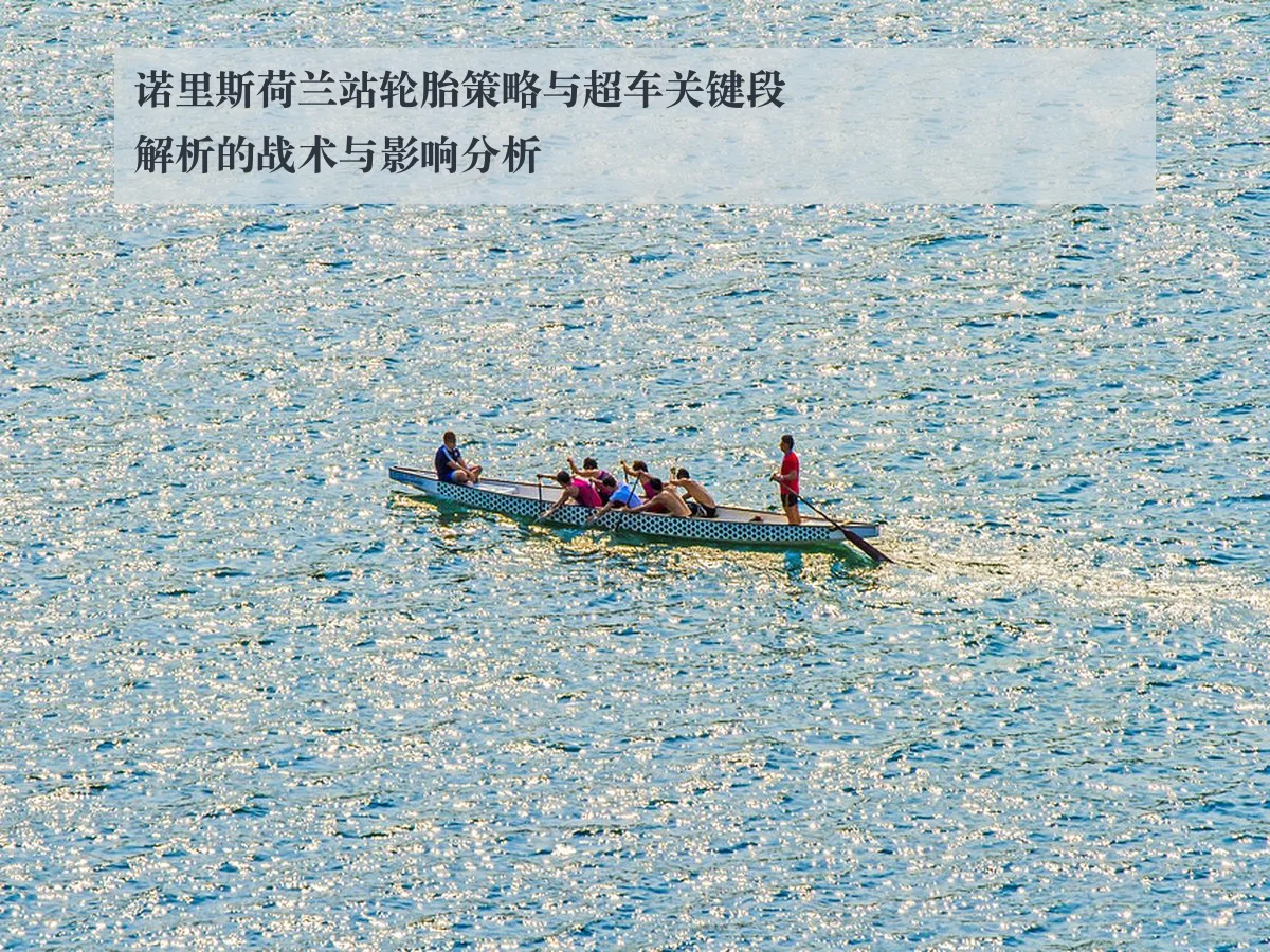 诺里斯荷兰站轮胎策略与超车关键段解析的战术与影响分析
